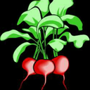 roastbeets avatar