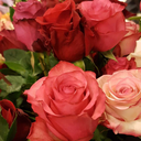 roastedtoastnbutter avatar