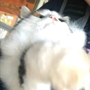 roastypostymostly avatar