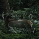 robert-and-dave avatar