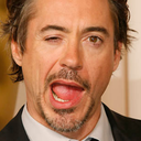 robertdowneyjunwhores avatar