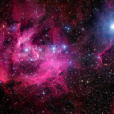 robertgrzelewski avatar