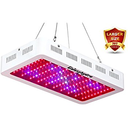 robertramjohnart avatar