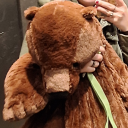 robin-creature avatar