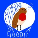 robin-in-a-hoodie avatar