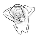 robindahoes avatar