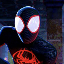 robinfellasleep avatar