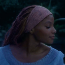 robininthetrees avatar