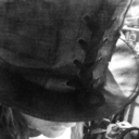 robinknightsawesomeworld avatar