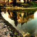 robinsonkeira avatar