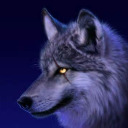 robo-mech-wolf avatar