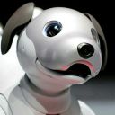 robopupper avatar