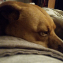 robotic-dragon-reader-blog avatar