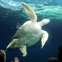 robotmag7-rhack avatar