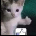 robuxyyyyyyyyyy avatar