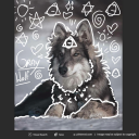 robyn-goodfellowe1 avatar