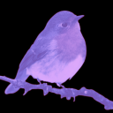 robyngoesrogue avatar