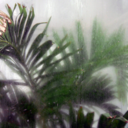 robynmariewilcox avatar