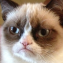 rock-solid-pandas avatar