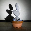 rockbalancing avatar