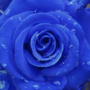 rockersrule45 avatar