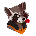 rocket-roquill-raccoon avatar