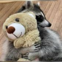 rockethasablog avatar