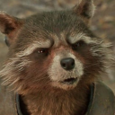 rocketraccoon-235 avatar