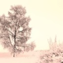 rockettalkpodcast avatar