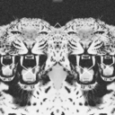 rocknrollsvoice avatar