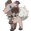 rockruff avatar