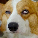 rockstarfreak avatar