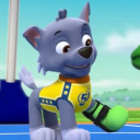 rockypups avatar