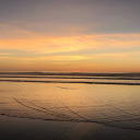 rockysaysmeow avatar