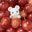 rodentafterdark avatar