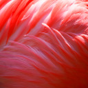 rodents-tread-my-flesh-alot avatar