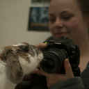 rodger-and-bean avatar