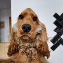 roger-universe avatar