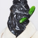 rogervekstein avatar