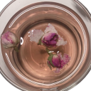 rogue-barnes-16 avatar