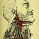 rogue-scholar216 avatar