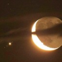 roguegoesthepilot avatar