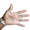 roijoy-blog avatar