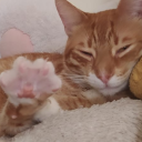 rokutouseinoyoru avatar