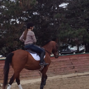 rolex-and-rollbacks avatar