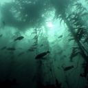 rollaroundrewind avatar