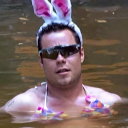 rollerdiscotruck avatar