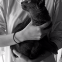 rolling-around avatar