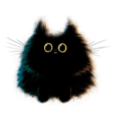 rollingcat-blog avatar