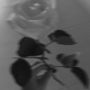 romancievibes avatar